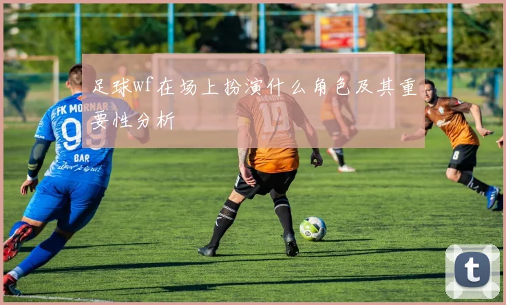 足球wf在场上扮演什么角色及其重要性分析