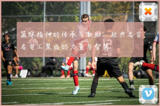 篮球精神的传承与激励：经典名言名句汇聚成的力量与智慧